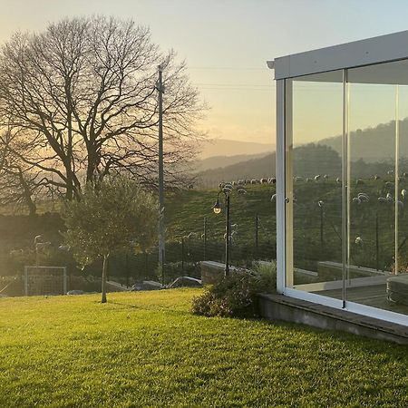 Villa "Lago Blu" Vista Lago Di Bracciano, Con Vasca Idromassaggio Esterna Trevignano Romano Eksteriør billede