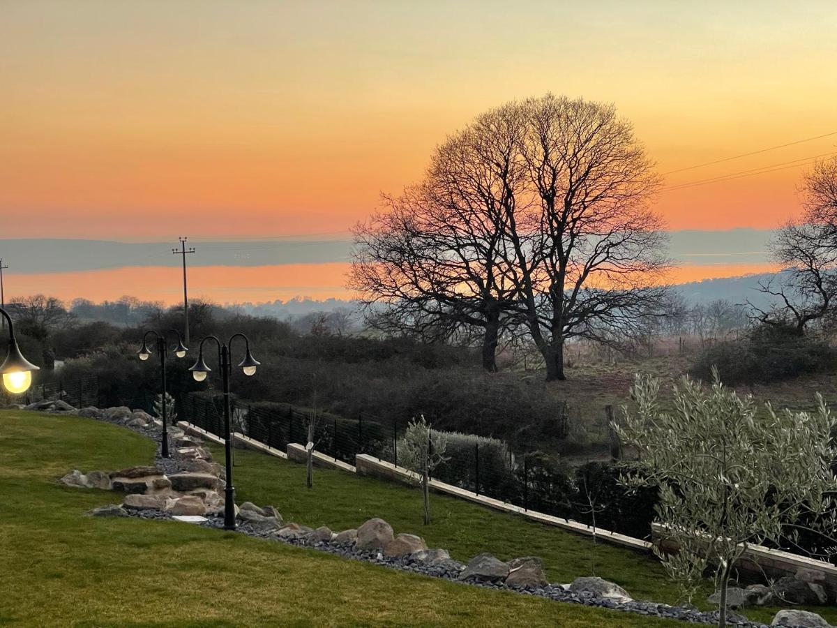 Villa "Lago Blu" Vista Lago Di Bracciano, Con Vasca Idromassaggio Esterna Trevignano Romano Eksteriør billede