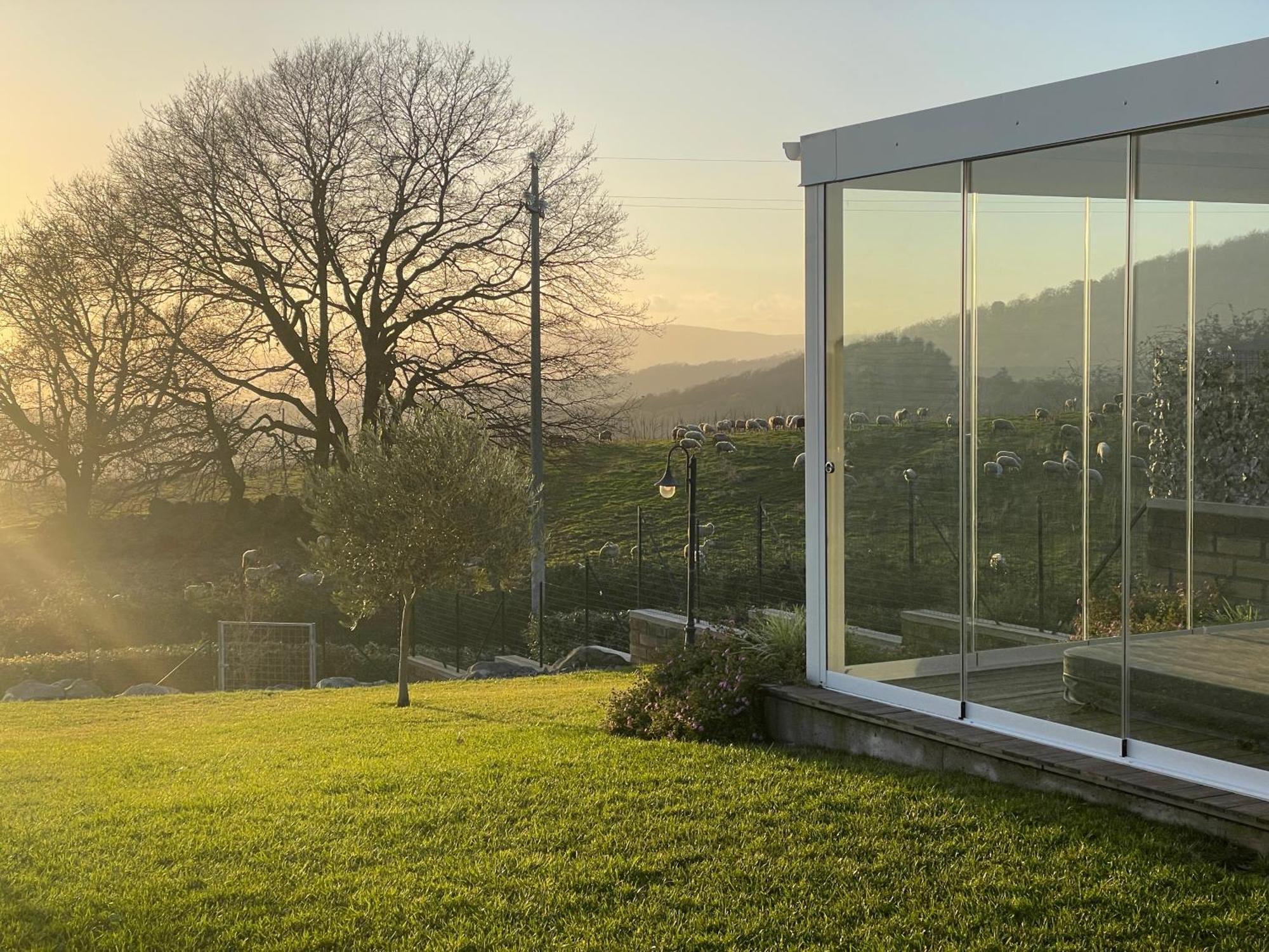 Villa "Lago Blu" Vista Lago Di Bracciano, Con Vasca Idromassaggio Esterna Trevignano Romano Eksteriør billede