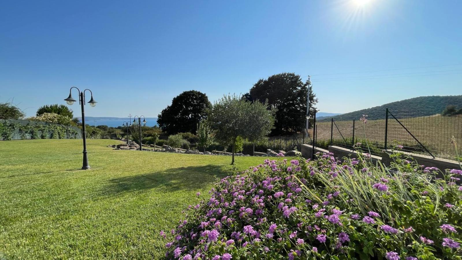 Villa "Lago Blu" Vista Lago Di Bracciano, Con Vasca Idromassaggio Esterna Trevignano Romano Eksteriør billede